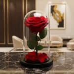 Rosa preservada roja en cúpula de cristal sobre una mesa de mármol negro, con un fondo elegante de lobby de hotel boutique.